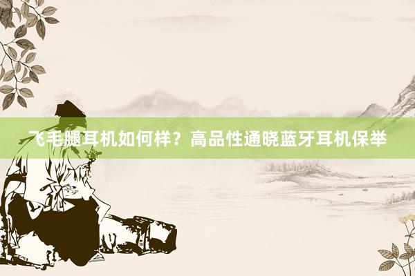 飞毛腿耳机如何样？高品性通晓蓝牙耳机保举