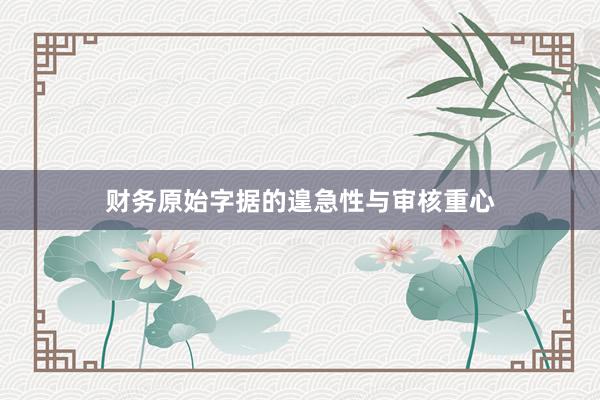 财务原始字据的遑急性与审核重心
