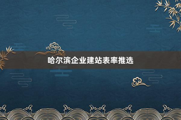 哈尔滨企业建站表率推选