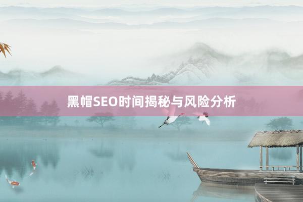 黑帽SEO时间揭秘与风险分析
