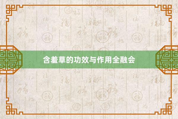 含羞草的功效与作用全融会